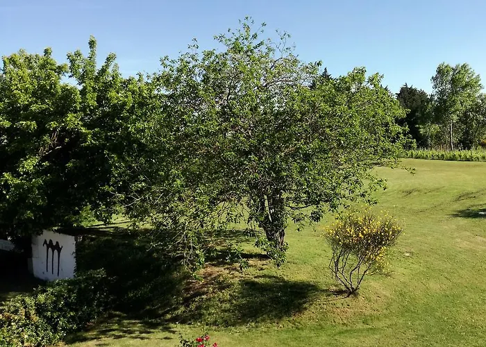 Morattina * Castrocaro Terme e Terra del Sole